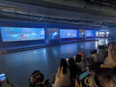 -重庆欢乐海底世界