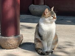 -西园戒幢律寺
