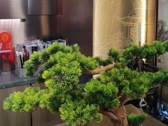 -陆琴脚艺·足浴·SPA(夫子庙店)