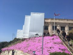 -阿尔卡特拉斯岛