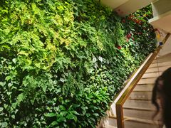 -Peet's Coffee皮爷咖啡(大学路店)