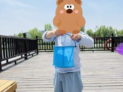 -九科绿洲