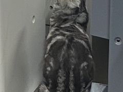 -赛可优数码广告印刷(解放南路店)