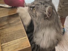 -小时光咖啡馆(北锣鼓巷店)