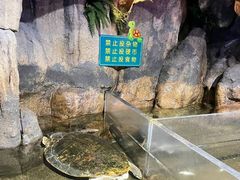 -海合安青岛极地海洋公园