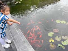 -西湖国宾馆·紫薇厅