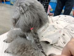 -宁波国际会展中心
