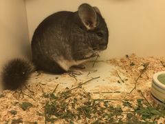 -龙猫仔乐园(惠福东路店)