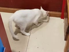 -吾家香港烧腊专门店