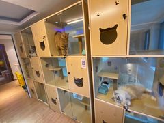 -Pets First伊珊娜洗护·精致美容·家庭式寄养(新会路店)