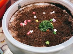 -巴特餐饮6加1音乐餐吧·新疆菜