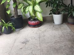 -茶油香闽南菜·花园餐厅(前埔店)