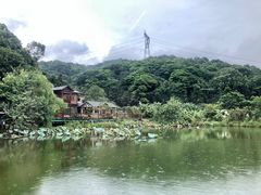 -桃园美食(水库路店)