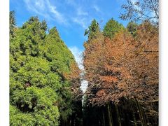 -山王坪喀斯特国家生态公园