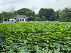 -范蠡湖公园