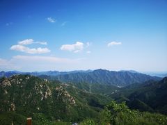 -大岭沟猕猴桃谷风景区