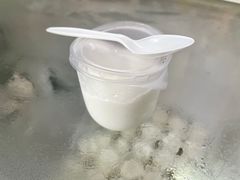 -洪馨椰子