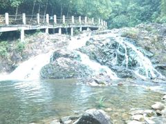 -九龙江国家森林公园