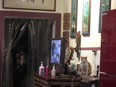 大堂-香霸头跑山鸡