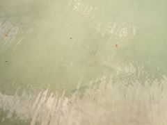 Kuang&nbsp;Si&nbsp;Falls-关西瀑布
