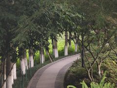 -龙头寺公园
