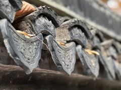 -秋霞圃