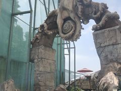 -新加坡水上探险乐园