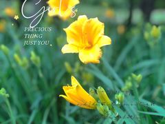 -狼山风景名胜区