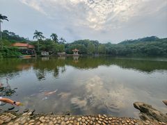 -深圳仙湖植物园