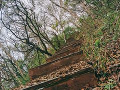 -白草畔自然风景区