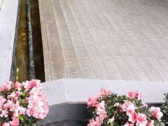 -顺兴老茶馆·精品川菜(世纪城店)