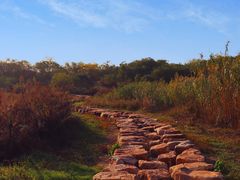 -盘龙城遗址博物院