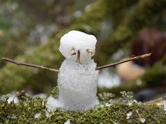 -西岭雪山大飞水景区