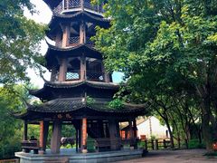 -西溪国家湿地公园