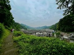-大金鹰园