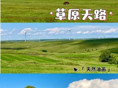 -草原天路(张北县)