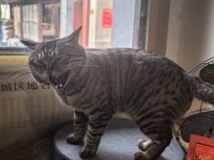 -正阳书局(西四南大街店)