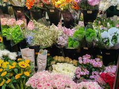 -宝鸡东道花鸟鱼虫市场(吉利花园商场店)