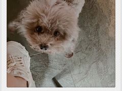 -EVA咖啡小酒馆