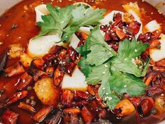 -晓彭肥肠鸡·泡椒鸡火锅(水木天地店)