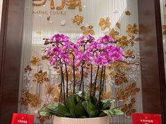 -明阁 Ming Court(广州朗豪酒店)