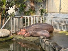 -宁波野生动物园