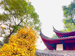 -成都市文殊院