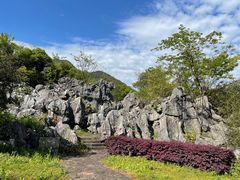 -千岛湖石林