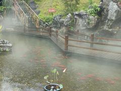 -耕渔小院·湖南鱼鲜(望城店)