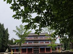 -武陵山森林公园