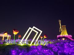 -大塘金香草谷