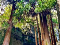 -梭布垭石林景区