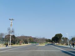 -羊山湖公园
