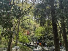 -东明山森林公园